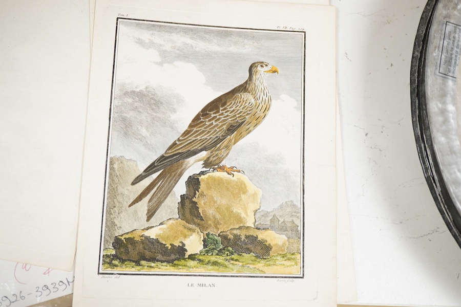 After Jacques de Sève (French, Act.1742 –1788), a set of four ornithological colour etchings to include ‘Le Sacre’ and ‘Le Milan’ together with a later set of coloured engravings, published March 1828, G B Whittaker, Lon